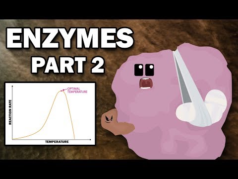 Video: La saturație, activitatea enzimei este maximă?
