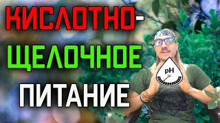 Кислотно-щелочное питание и лечение Рака, Полипов, Остеопороза и Артроза. Кислотно-щелочное питание и лечение Рака, Полипов, Остеопороза и Артроза.