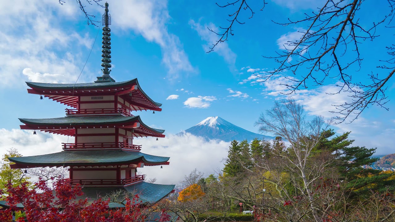 Alexvnder - Cherry Blossoms