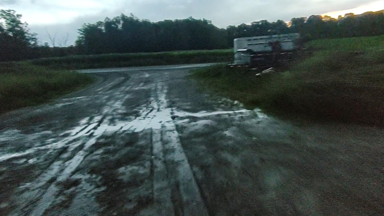 Lots of rain and price highlights from last week's auction. September