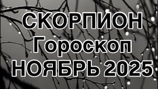 картинка: СКОРПИОН - ГОРОСКОП  НА НОЯБРЬ  2025  |УДАЧА  |  ЛЮБОВЬ | РАБОТА | ФИНАНСЫ | ОТ NATALLIA MARKOWSKA