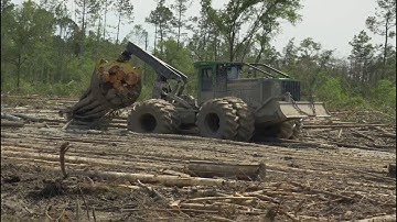 Three years later, Hurricane Michael Cleanup Continues | John Deere Forestry