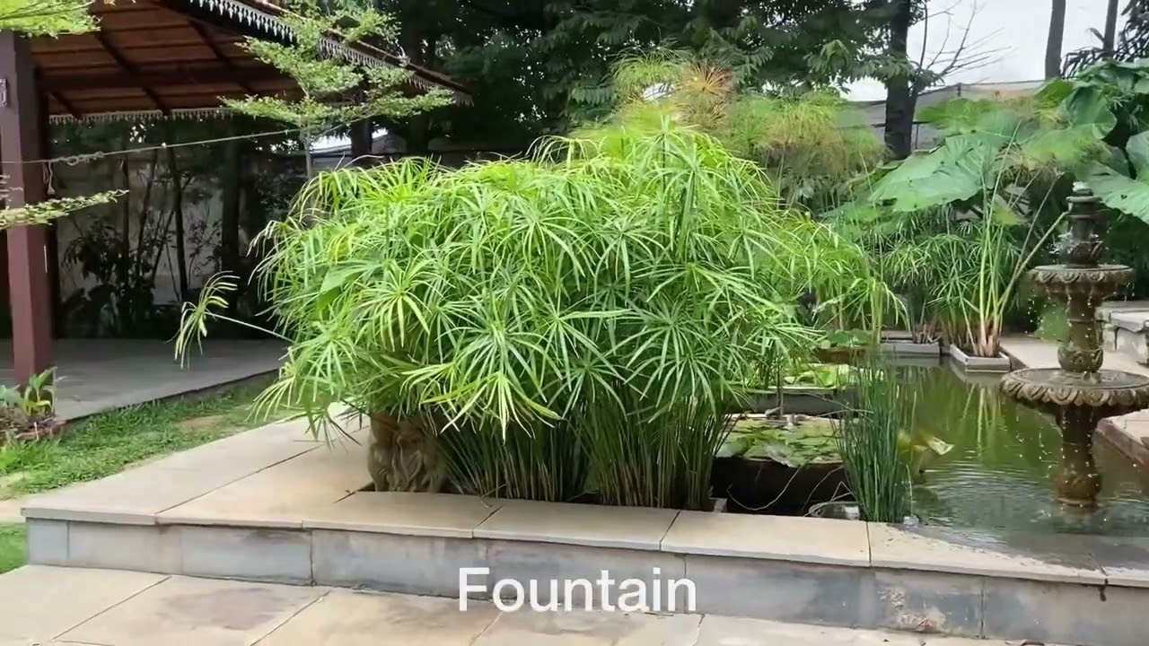 The Peacock Grove, wedding venue walkthrough.