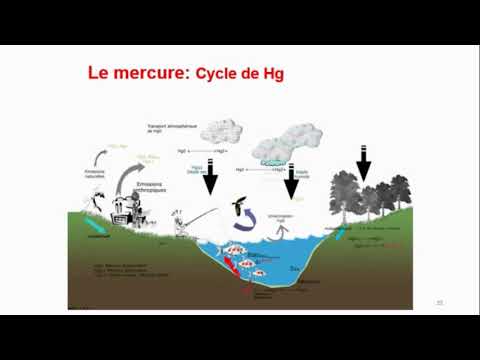 Vidéo: Empoisonnement Au Mercure: Symptômes, Conséquences, Traitement