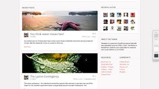 Salutation Responsive WordPress + BuddyPress Theme