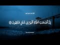 إن أصحاب الجنة اليوم في شغل فاكهون عاصم اللحيدان سورة يس  