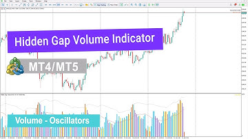 📊 Hidden Gap Volume Indicator for MetaTrader 4/5 Download - [TradingFinder]