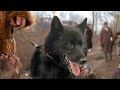 Balto and the Serum Run