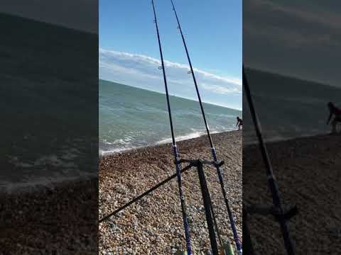 Choosing a Beachcaster Rod in 2024 - Tackle Scout