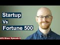 Working at a Startup vs Fortune 500 Company | Alex The Analyst Show | Episode 6