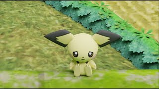 Pichu Chases Berry Final Test Animation