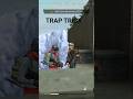 Simple Trick To Trap Enemies In Free Fire Max #freefiremax #short