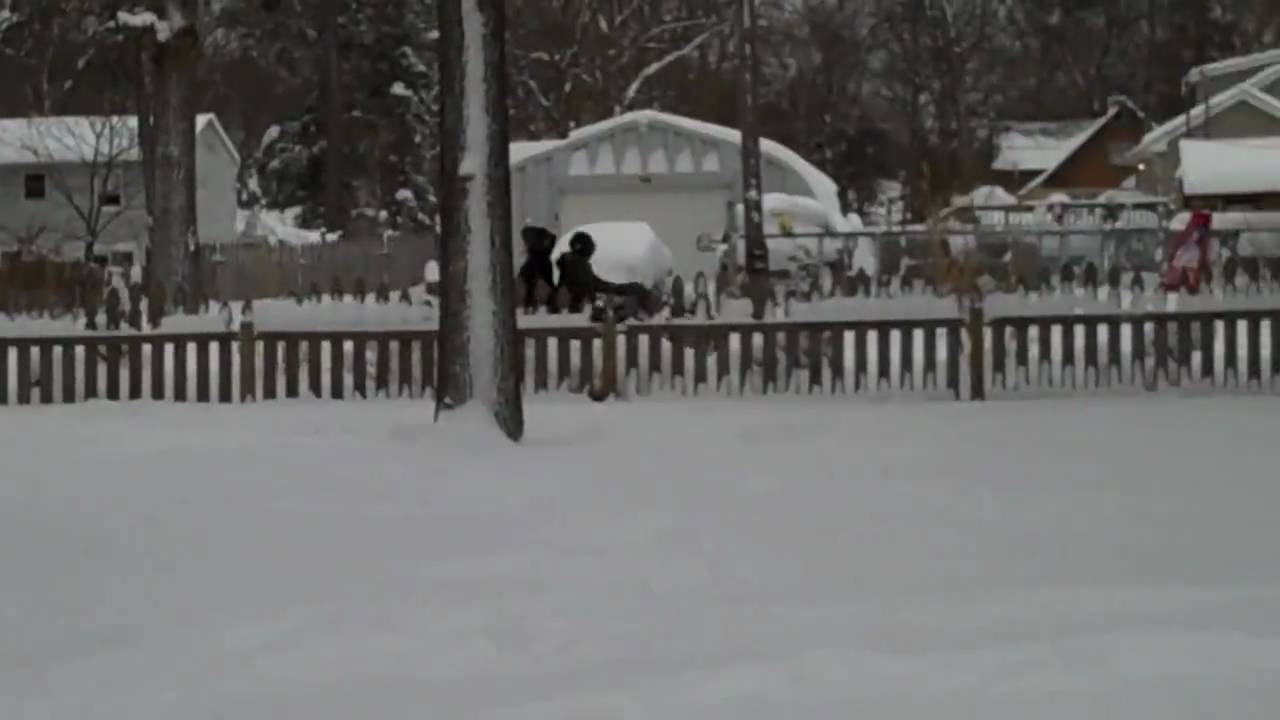 After the snow storm of 2010 - YouTube