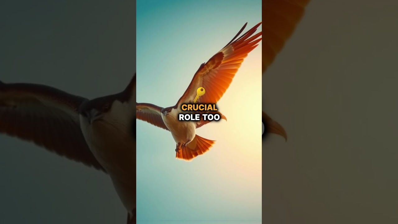 Unlocking Bird Flight Secrets!