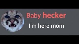 The Story Of hecker