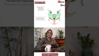 Uterine Prolapse Key Supports Of Uterus