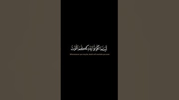 قل متاع الدنيا قليل - سورة النساء - الشيخ سيد سعيد