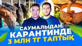 Саумал бизнесі айына тұрақты - 1,2 млн тг табыс. Cаумал пайдасы. Мал шаруашылығы.