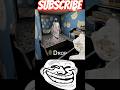 The Cat Granny vs Slenderna Glitch || Funny Trolling Game video Play apk 😒✊🔥 #shorts #viral #funny