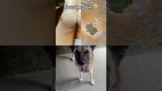 YouTube zoom tutorial #shorts