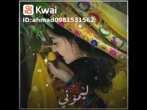 لالا تكبر لا تكبر ليموني يا ليموني حالات واتس الفنان صلاح هليل 