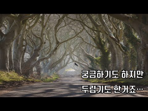 영상썸네일