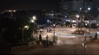 Famous Gator attacks boy at Disney resort Wealth