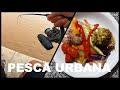 PESCA Y COCINA, ACUARIOS y fui a juntar caracoles para carnada. PESCA URBANA