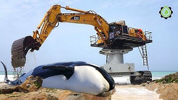 Jaw-Dropping Excavator Operator Skills So Crazy You’d Think They’re Fake! #16