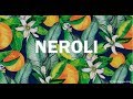 Top 10 Neroli Fragrance From Collection (2020)