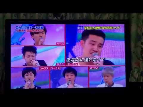 無糖ホワイト
