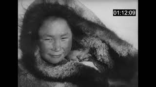 Dougal KEMP / Nanook Of The North (SABAM Award 2021)