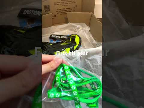 Unboxing My First Douglas Dog Emotionalsupport Emotionalsupportstuffedanimal Essa Douglasdog 