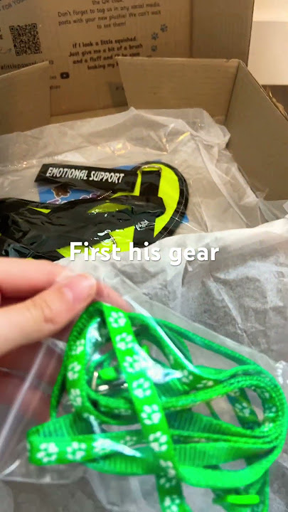 Unboxing my first Douglas dog! #emotionalsupport #emotionalsupportstuffedanimal #essa #douglasdog