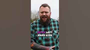 How To Stop Your Dog Pulling Quickly!