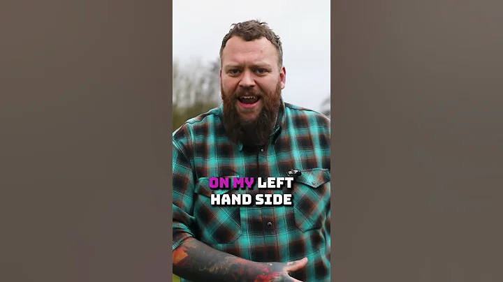 How To Stop Your Dog Pulling Quickly!