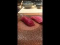 Japan S Best Food Guide Tenzushi Sushi Heaven In Fukuoka Japan S Best Food Guide Tenzushi Sushi Heaven In Fukuoka