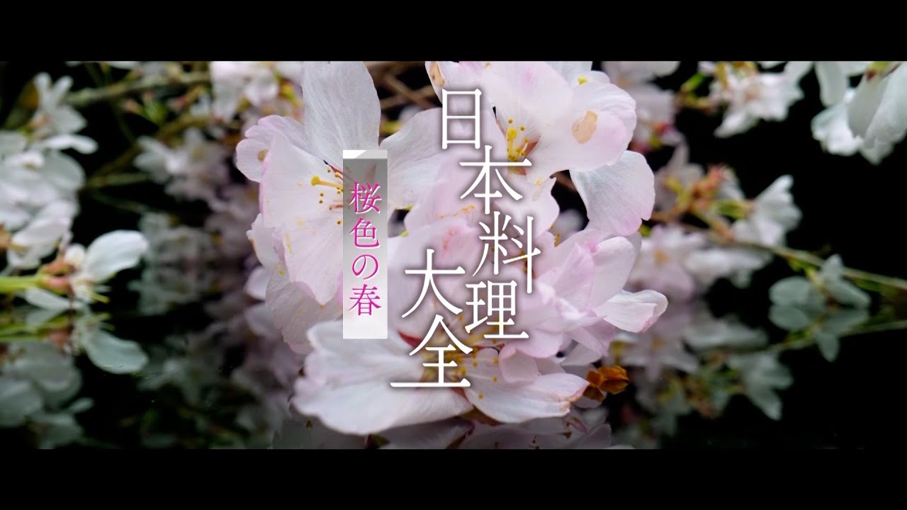 日本料理大全】 春編 short version - YouTube