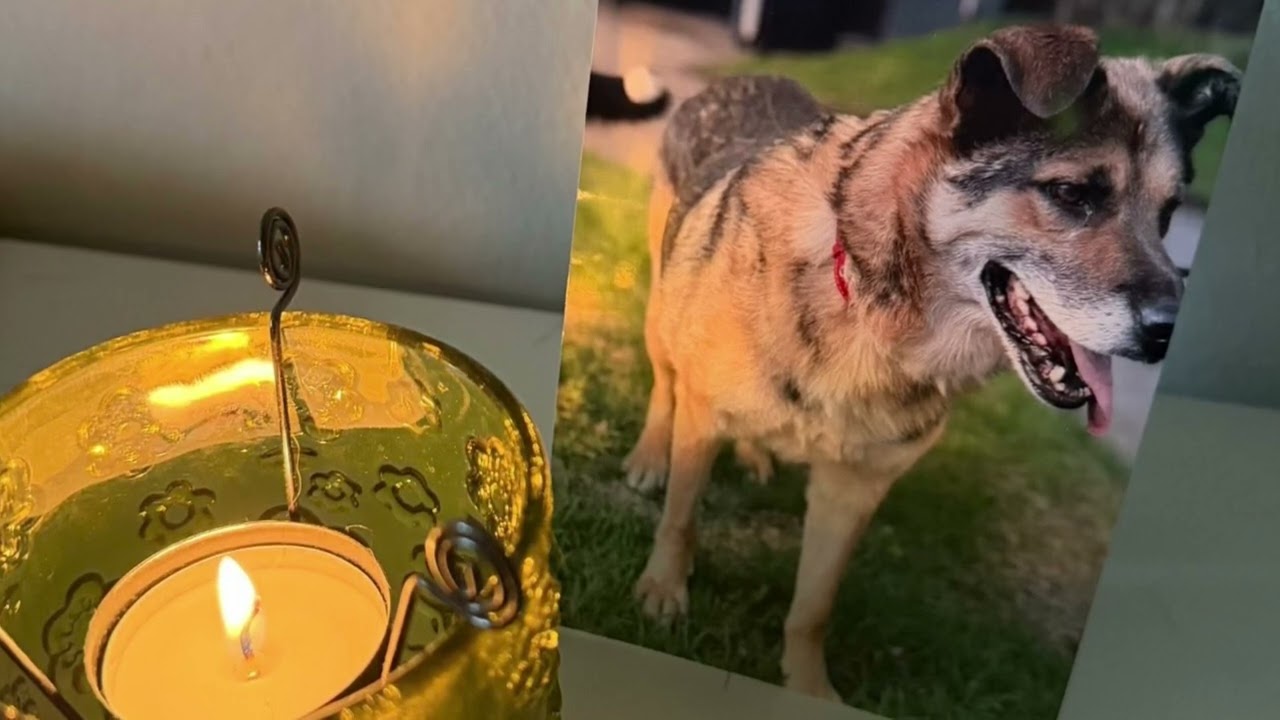 ”Rauha Tassujen Kanssa”