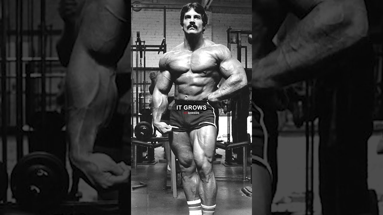 Never Train 2 Days In A Row Mike Mentzer