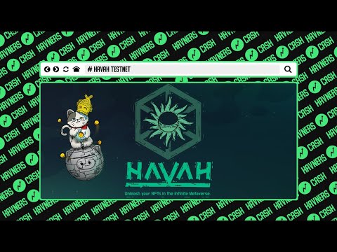 Вознаграждаемый тестнет Havah