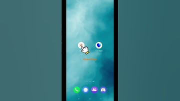 How to backup your #Trustwallet seed phrase using REAP.