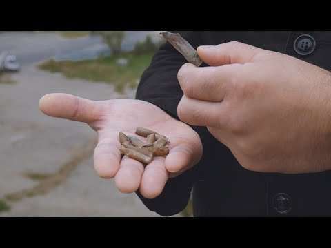 რა ისტორიას ინახავს გიგოს გორა