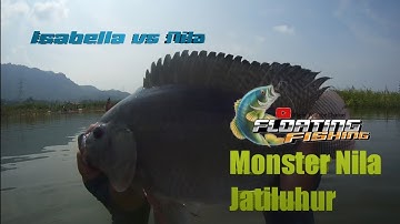 🔴Ikan Nila Terbesar Pertama Saya Mancing Nyobok!!!Monster Badot Nila Jatiluhur Berhasil Diselamatkan