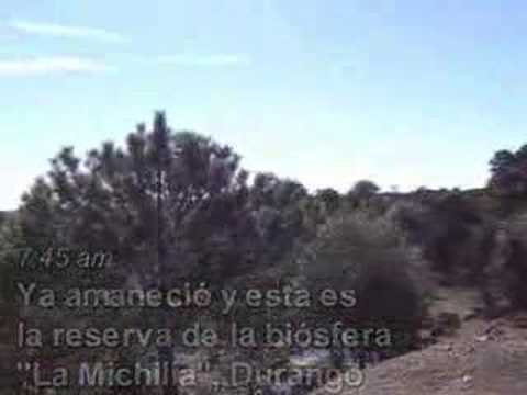 Lobosmexicanos: Reserva de la biosfera la Michilia Durango