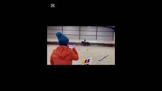 🏇 Kingsborough Ruby – Rising 4-Year-Old Show Jumping/Eventing Prospect 🏇 #equestriandream