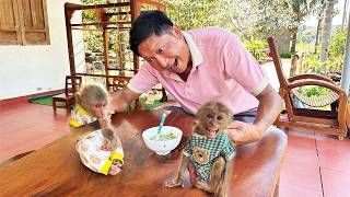 Uncle Nam Harvests Fresh Okra to Cook Special Meal for Jobi & Hope ❤️🐒🥬