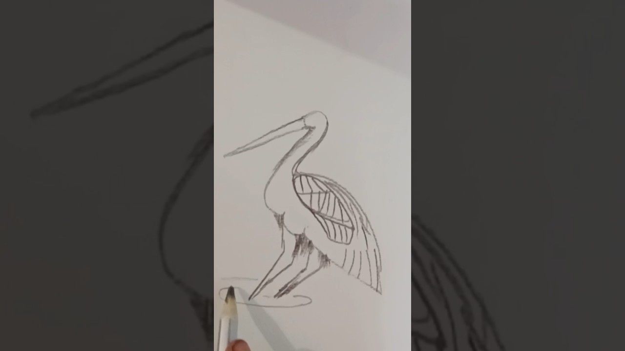#greatblueheron