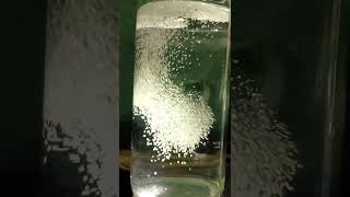 Haldi Water Magic Trend