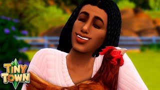 NOVOS INTEGRANTES na FAMÍLIA + MUITA GRANA | The Sims 4